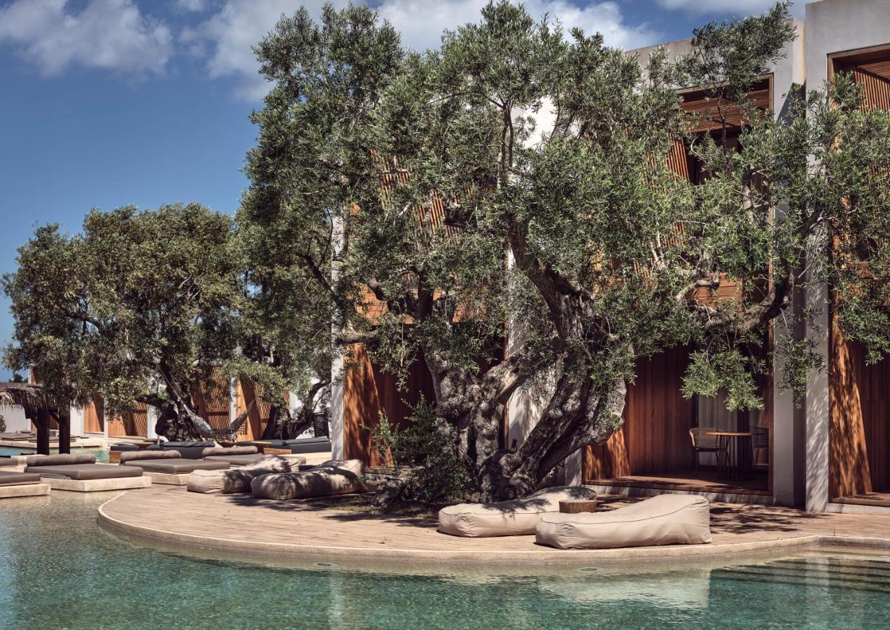 Olea All Suite Hotel, A Member Of Design Hotels (Adults Only) Tsilivi  Exterior foto