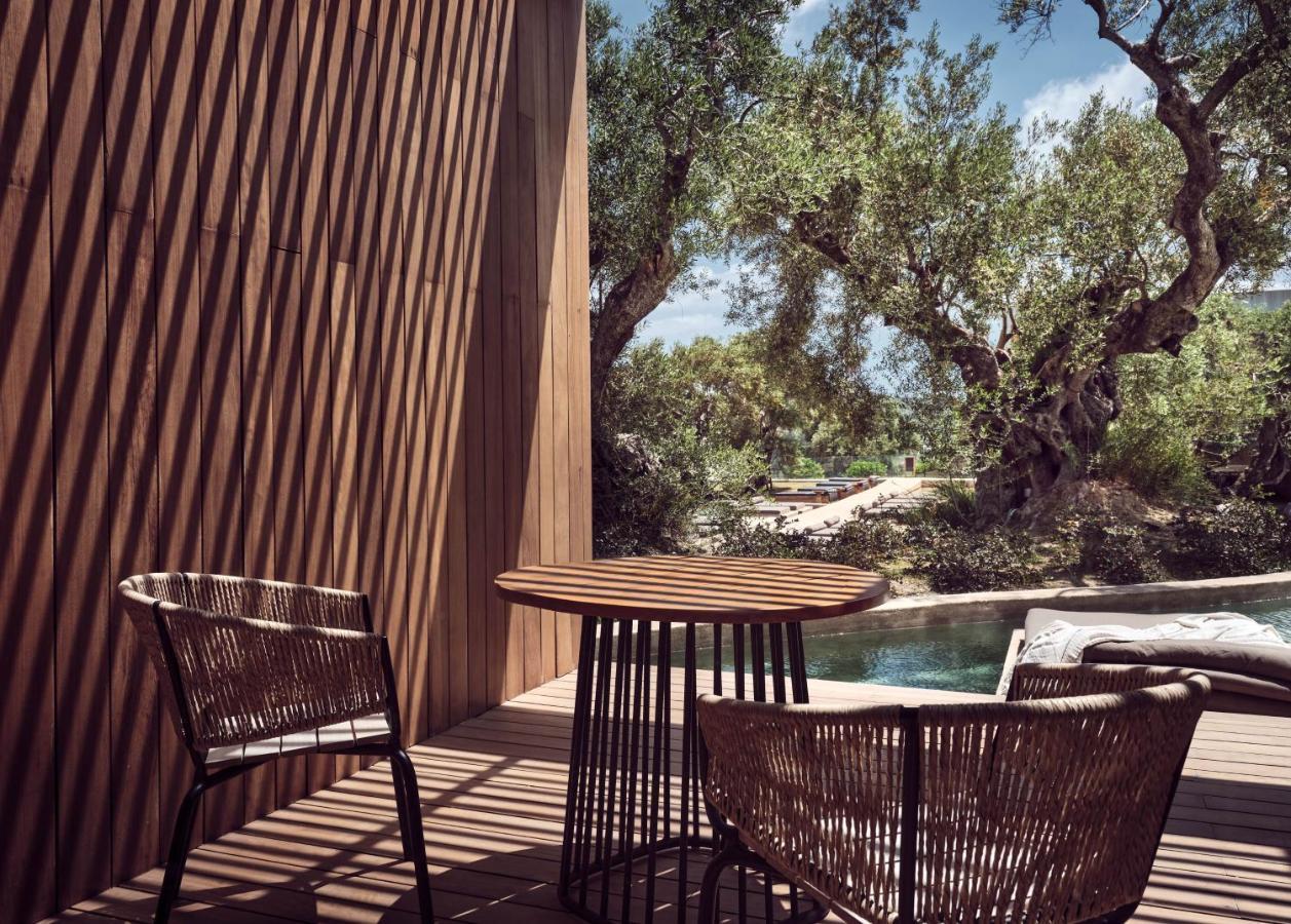 Olea All Suite Hotel, A Member Of Design Hotels (Adults Only) Tsilivi  Exterior foto